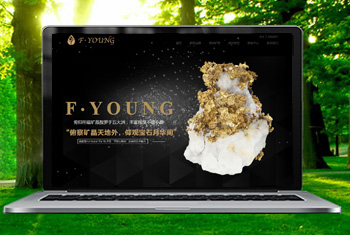 ɽ�ϸ������ﱦʯ