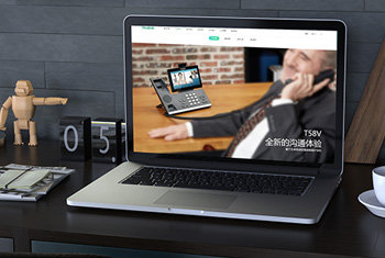 ɽ������